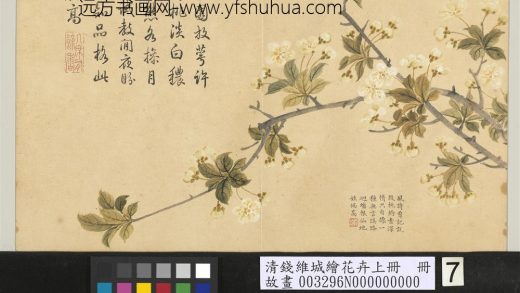 清钱维城绘花卉（上）册 李花.jpg