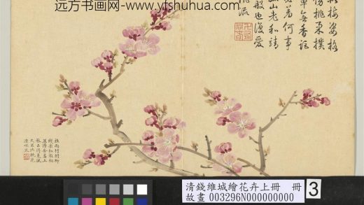 清钱维城绘花卉（上）册 杏花.jpg