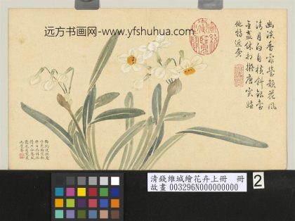 清钱维城绘花卉（上）册 水仙.jpg