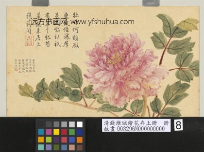 清钱维城绘花卉（上）册 牡丹.jpg