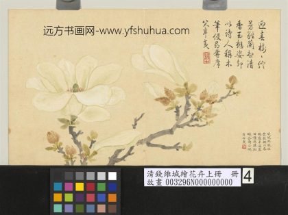 清钱维城绘花卉（上）册 玉兰.jpg