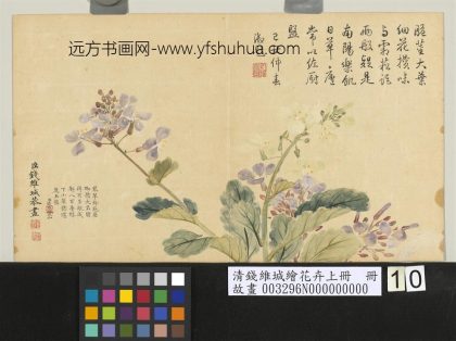 清钱维城绘花卉（上）册 诸葛茉花.jpg