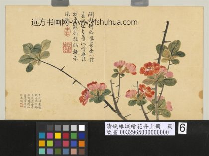 清钱维城绘花卉（上）册 贴梗海棠.jpg