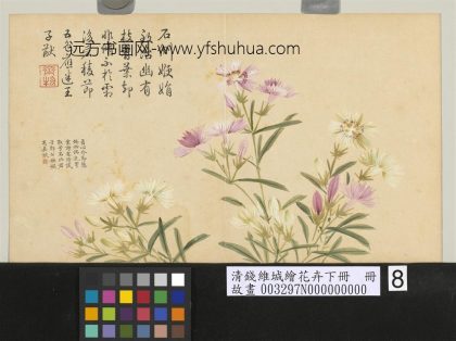 清钱维城绘花卉（下）册 石竹.jpg