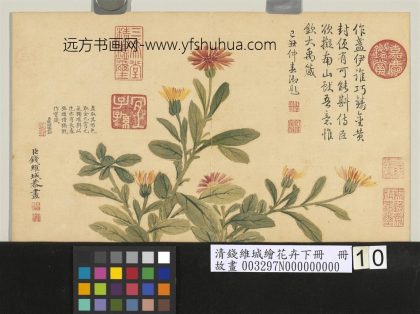 清钱维城绘花卉（下）册 金盏.jpg