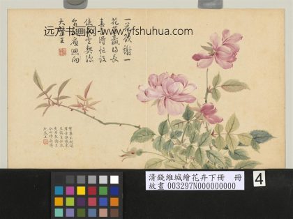 清钱维城绘花卉（下）册 长春.jpg