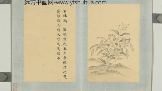 清门应兆补绘萧云从离骚图下册 杜衡（马蹄香）.jpg