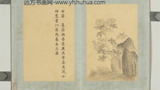 清门应兆补绘萧云从离骚图下册 菊花.jpg