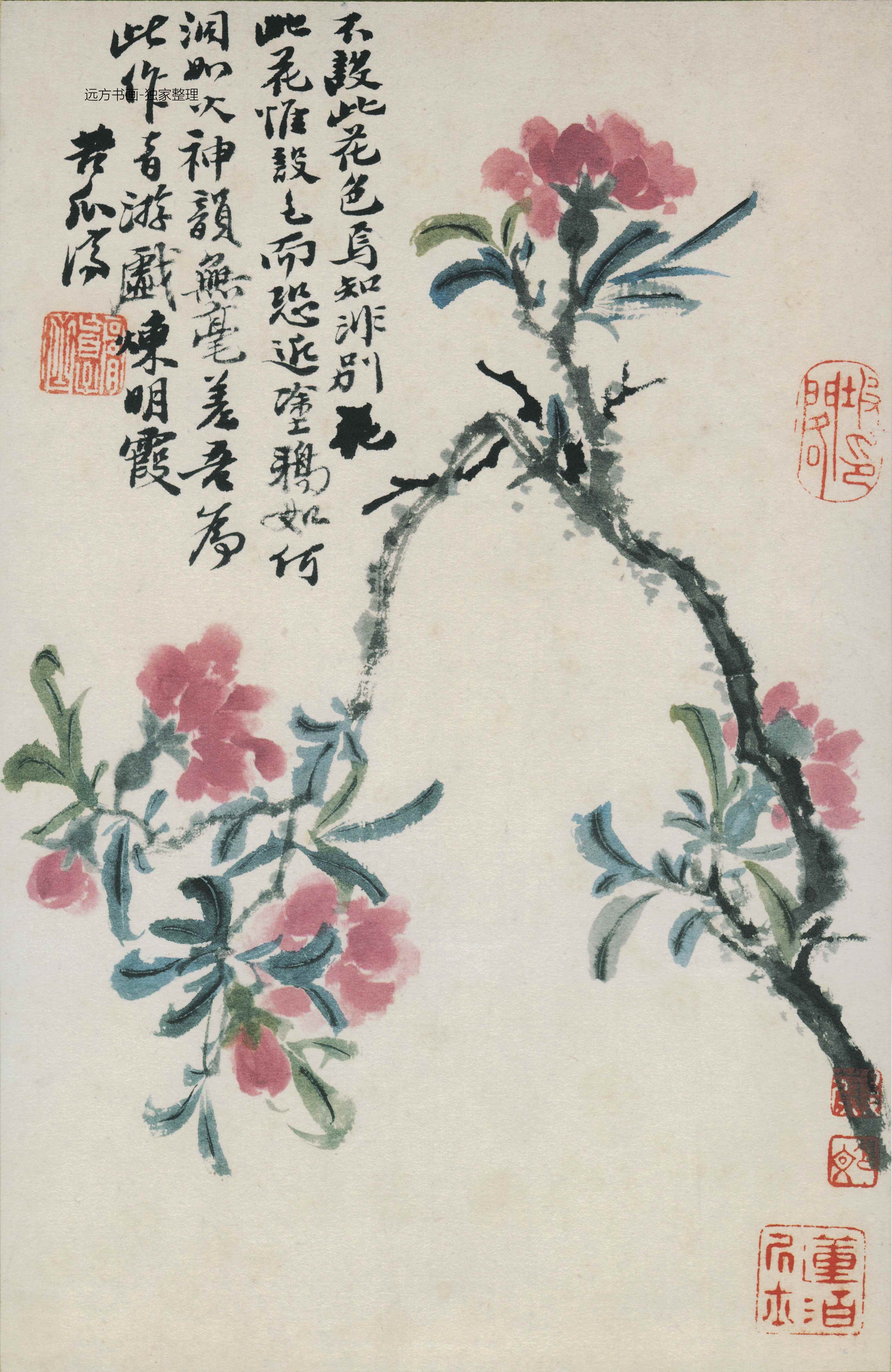 清朝代【石涛】《花鸟图册12开》TIF高清大图中国画古画素材下载