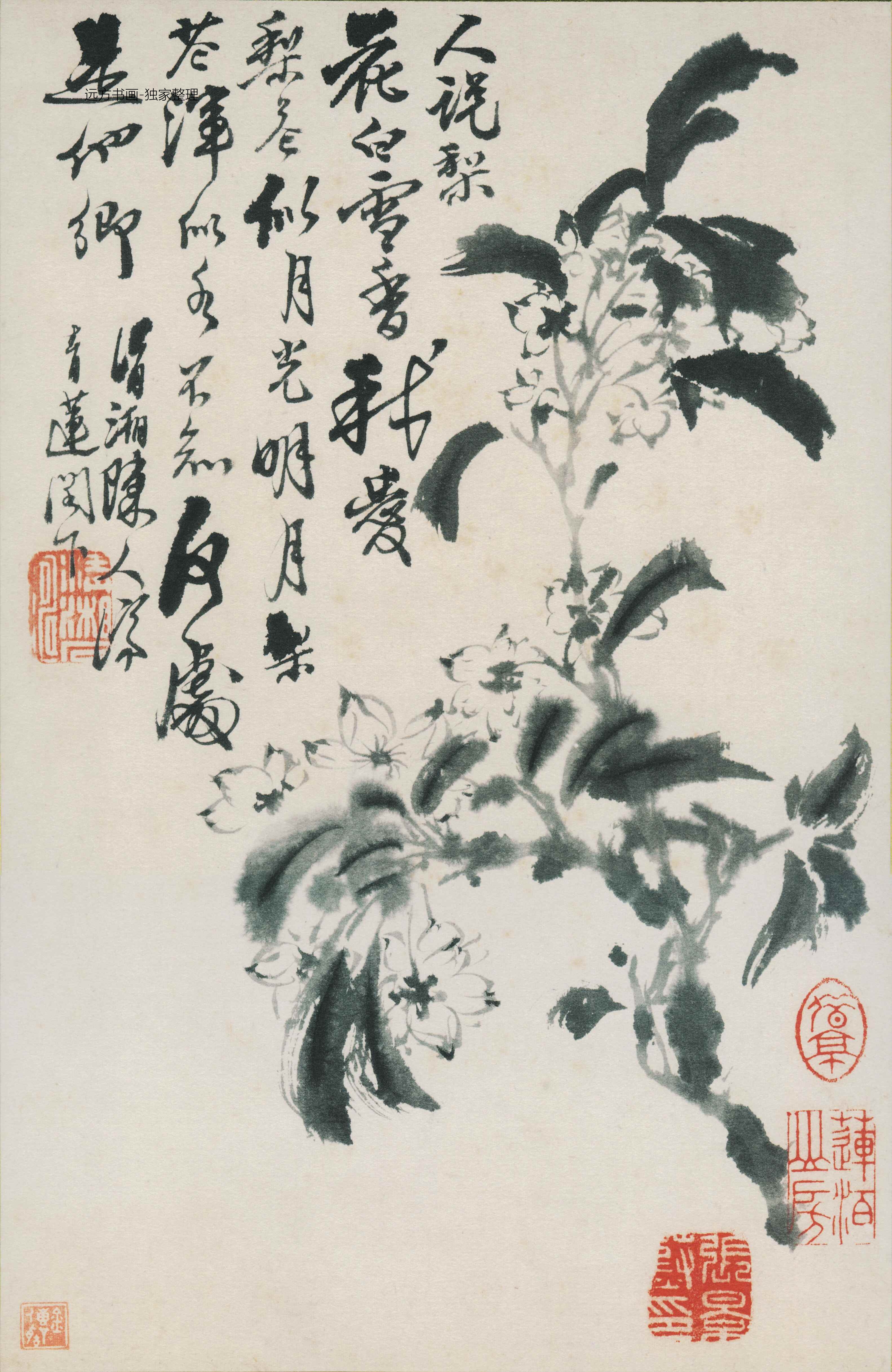 清朝代【石涛】《花鸟图册12开》TIF高清大图中国画古画素材下载