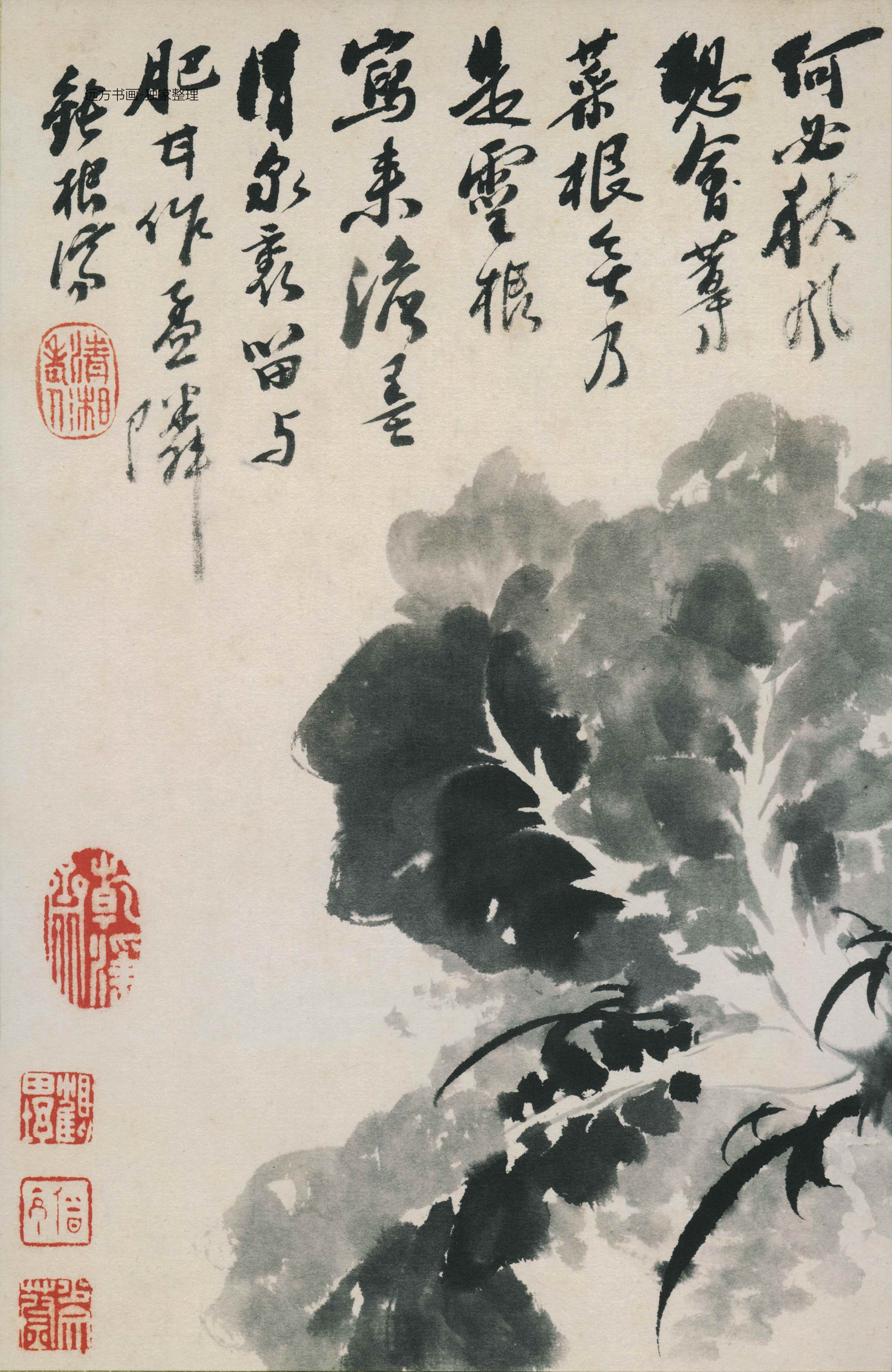 清朝代【石涛】《花鸟图册12开》TIF高清大图中国画古画素材下载