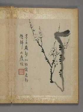 清朝代【汪士慎】《花卉册（12开）》故宫博物院TIF高清大图中国画古画素材下载