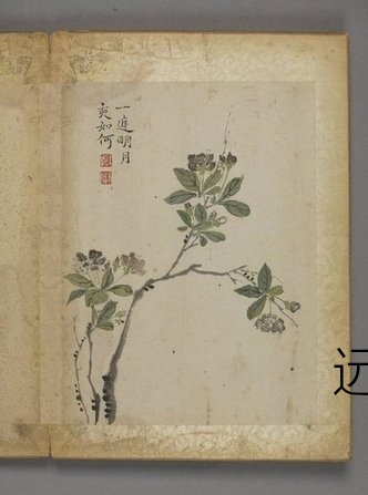 清朝代【汪士慎】《花卉册（12开）》故宫博物院TIF高清大图中国画古画素材下载