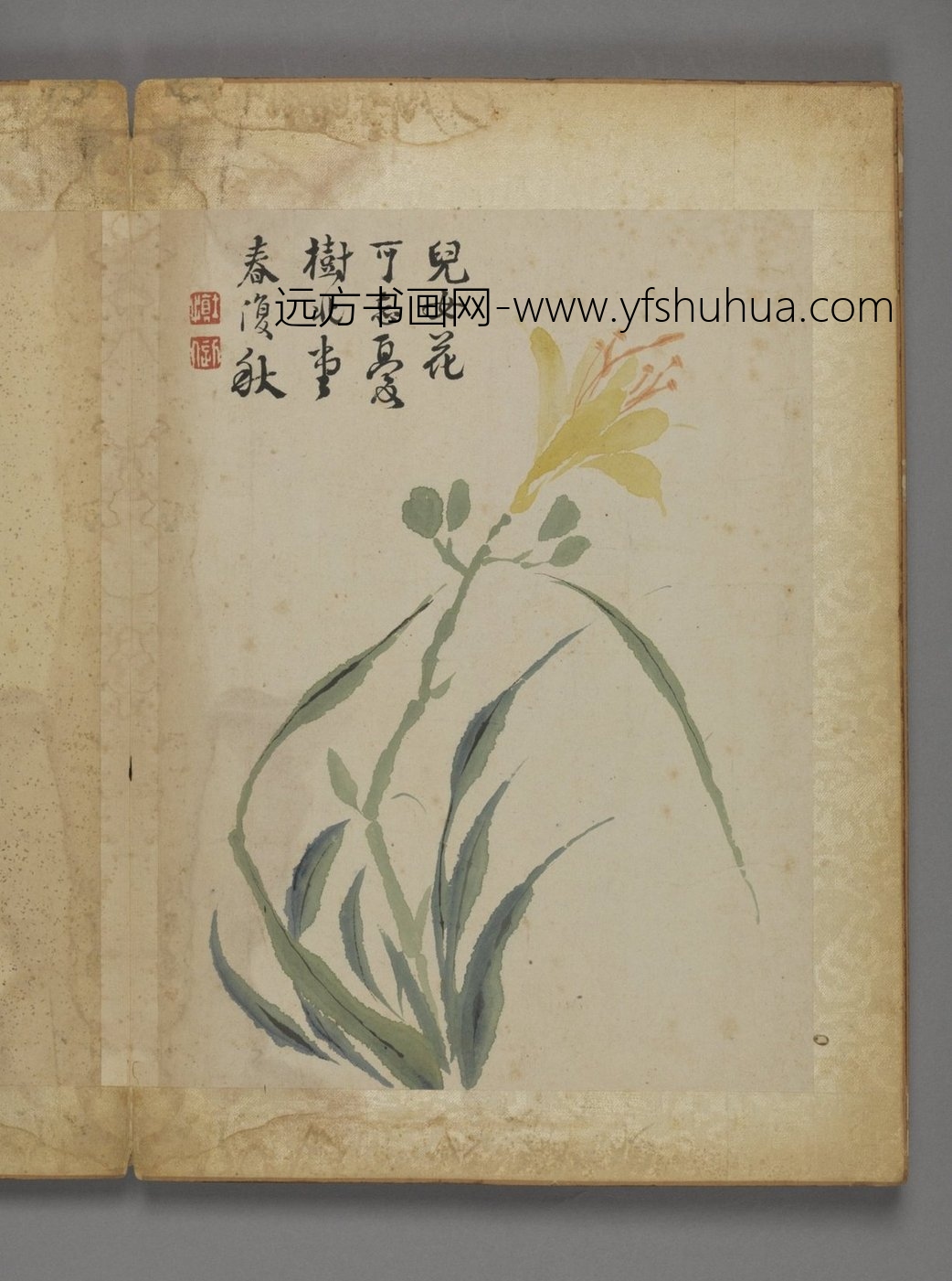 清朝代【汪士慎】《花卉册（12开）》故宫博物院TIF高清大图中国画古画素材下载