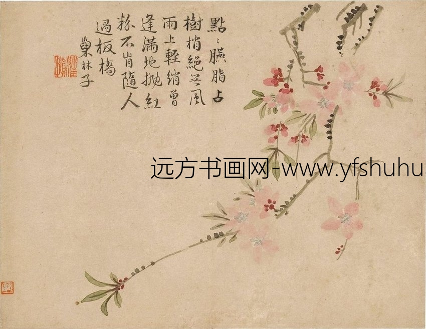 清朝代【汪士慎】《花卉图册12开》不详TIF高清大图中国画古画素材下载